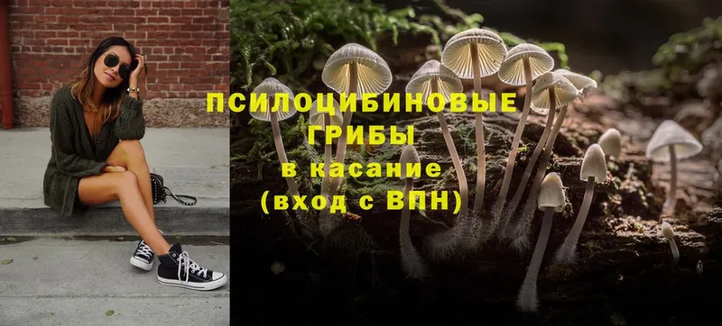 Галлюциногенные грибы MAGIC MUSHROOMS  где можно купить наркотик  ссылка на мегу ссылки  Верхний Уфалей 